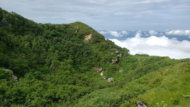 山林の相続税評価