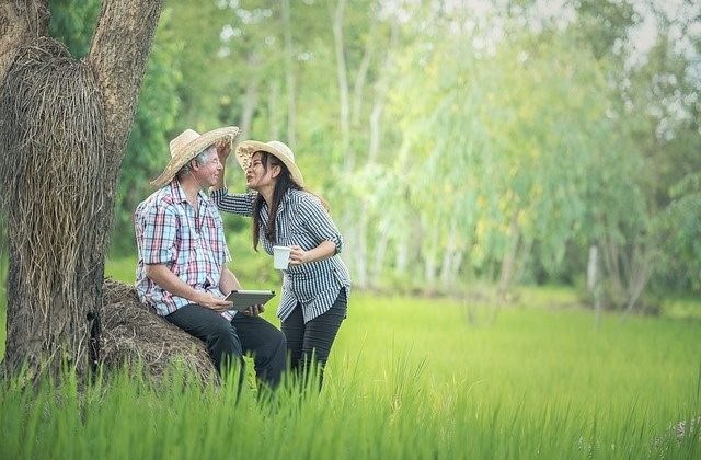 認知症の人がいる遺産相続はどうなる？成年後見人制度とは